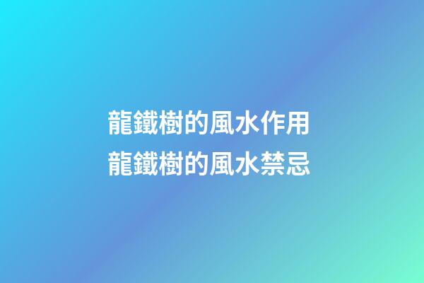 龍鐵樹的風水作用 龍鐵樹的風水禁忌